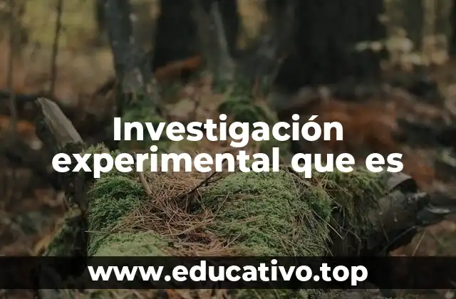 ¿Cómo se diferencia de otros tipos de investigación?
