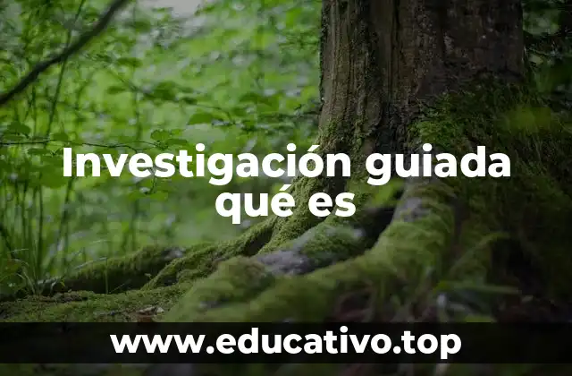 Investigación guiada qué es