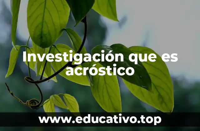 La investigación y la creatividad en la escritura