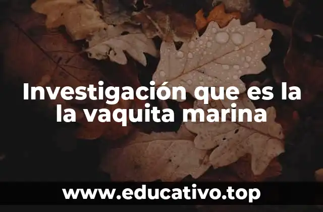 Investigación que es la la vaquita marina