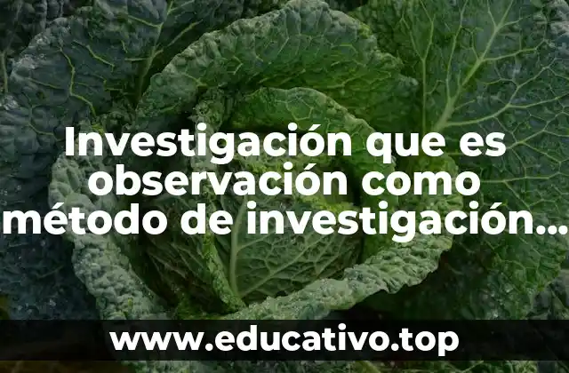 Investigación que es observación como método de investigación científico