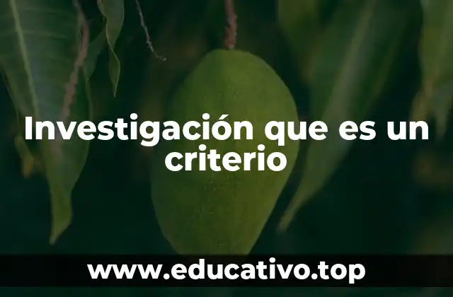 Investigación que es un criterio