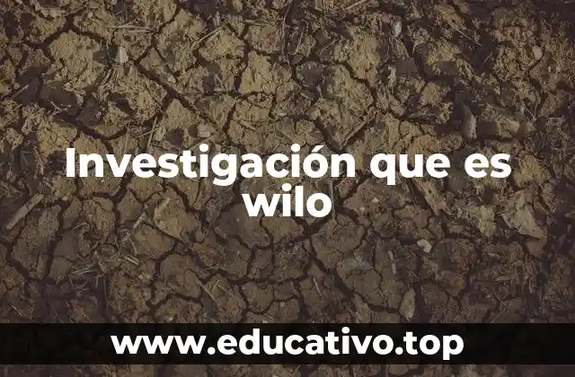 Investigación que es wilo