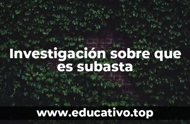 Investigación sobre que es subasta