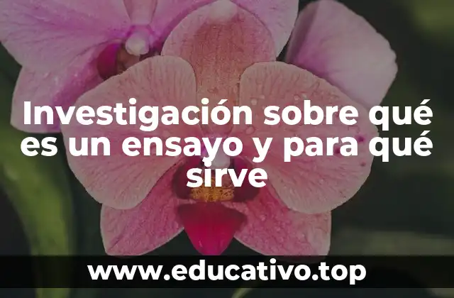 Investigación sobre qué es un ensayo y para qué sirve