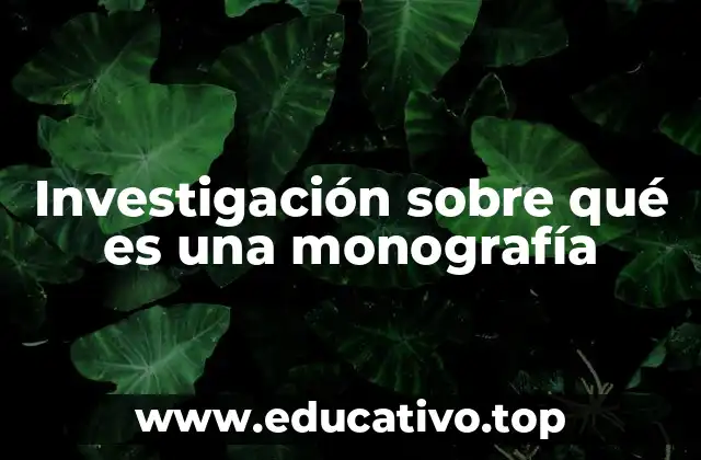 Investigación sobre qué es una monografía