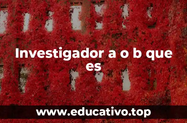 Investigador a o b que es