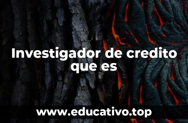 Investigador de credito que es