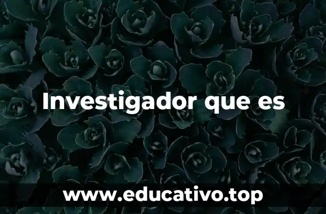 Investigador que es