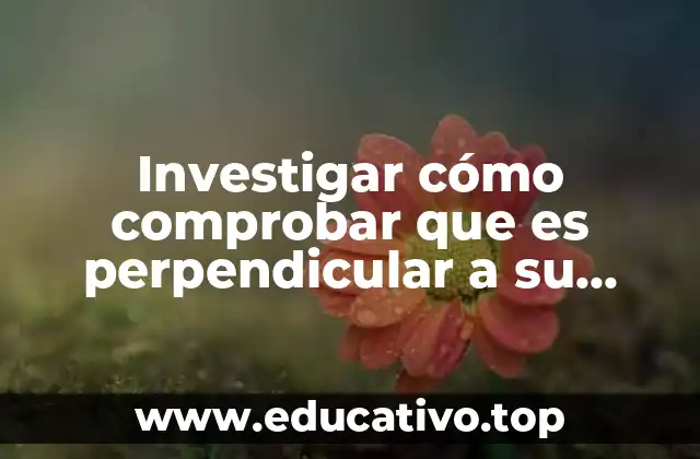 Investigar cómo comprobar que es perpendicular a su vector posición