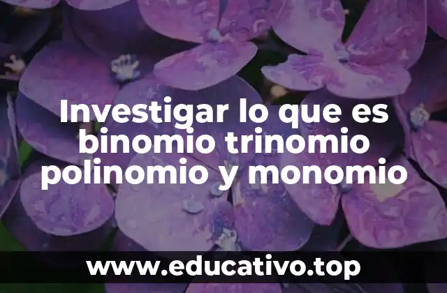 Investigar lo que es binomio trinomio polinomio y monomio