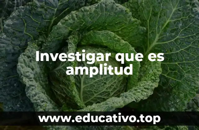 Investigar que es amplitud