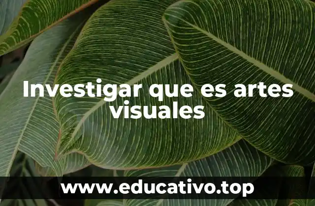 Investigar que es artes visuales