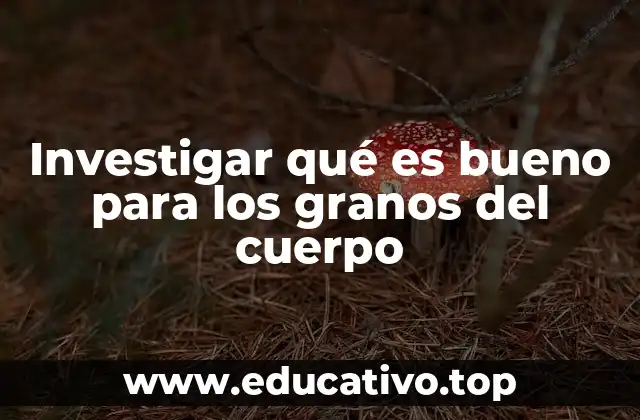 Investigar qué es bueno para los granos del cuerpo
