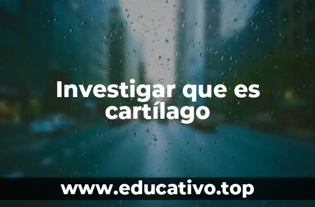 Investigar que es cartílago