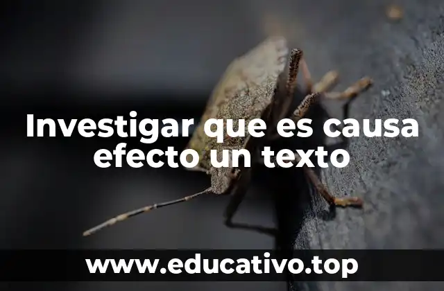 Investigar que es causa efecto un texto