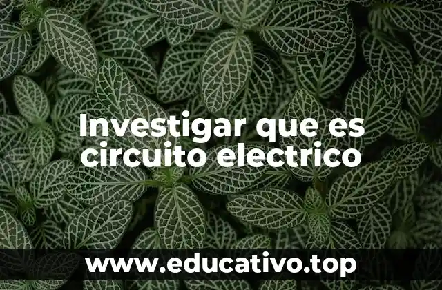 Investigar que es circuito electrico