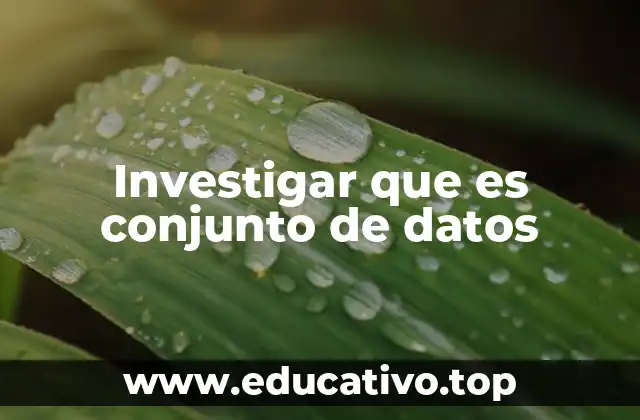 Investigar que es conjunto de datos