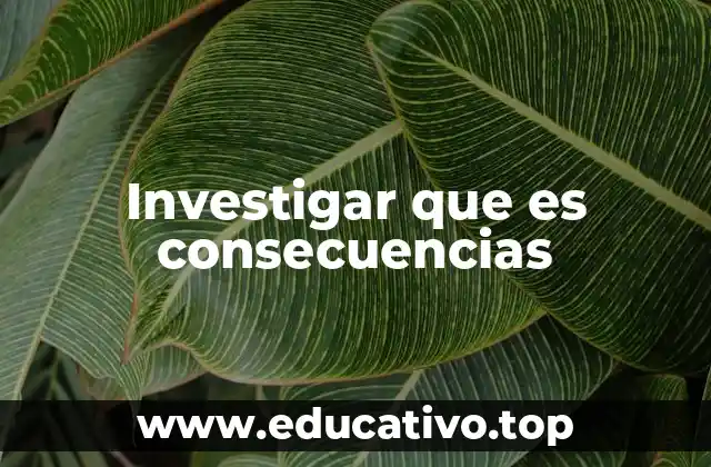 Investigar que es consecuencias