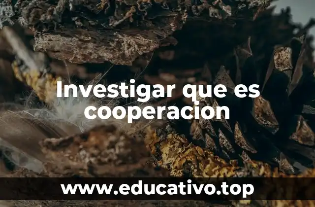 Investigar que es cooperacion