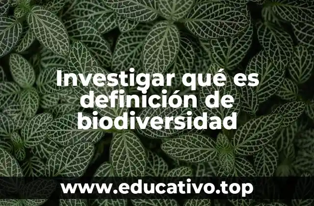 Investigar qué es definición de biodiversidad