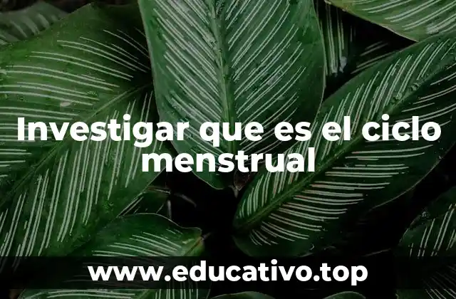 Investigar que es el ciclo menstrual