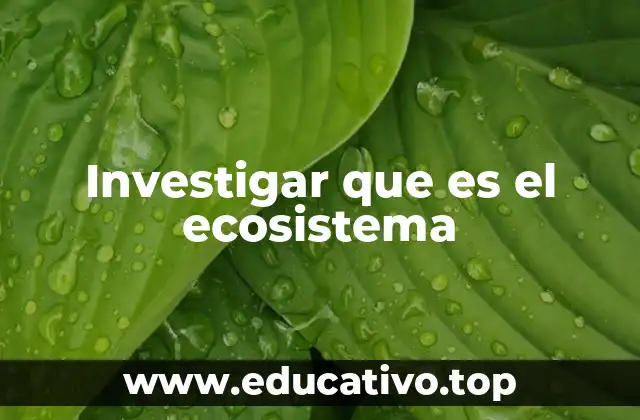 Investigar que es el ecosistema