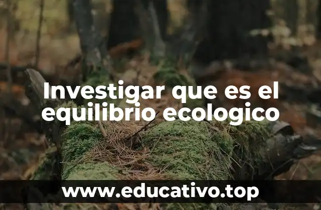 Investigar que es el equilibrio ecologico