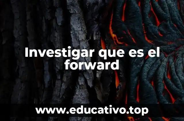 Investigar que es el forward