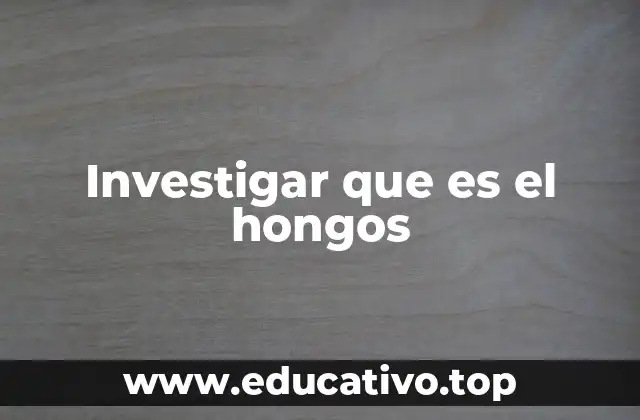 El papel de los hongos en los ecosistemas