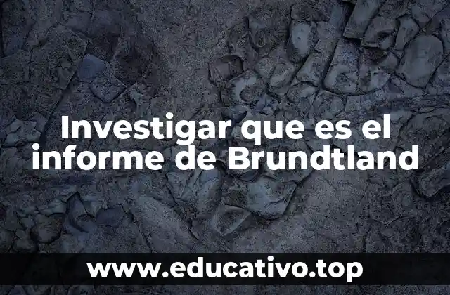 El impacto del informe en la agenda ambiental global