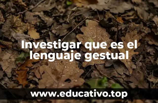 Investigar que es el lenguaje gestual