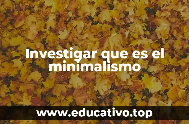 Investigar que es el minimalismo
