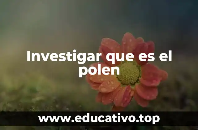 Investigar que es el polen