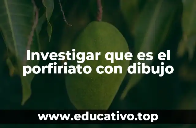 Investigar que es el porfiriato con dibujo