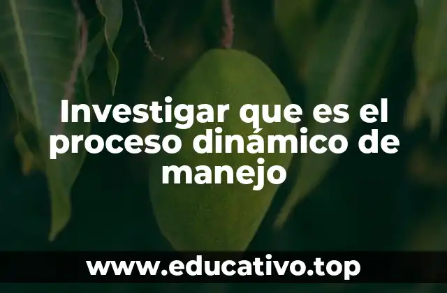 Investigar que es el proceso dinámico de manejo