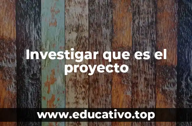 Investigar que es el proyecto