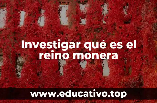 Investigar qué es el reino monera