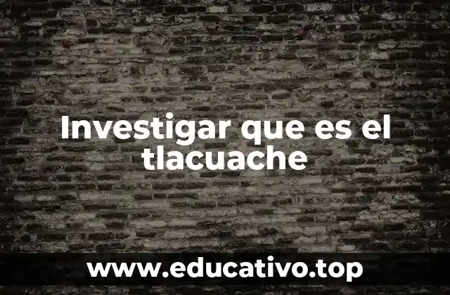 Investigar que es el tlacuache