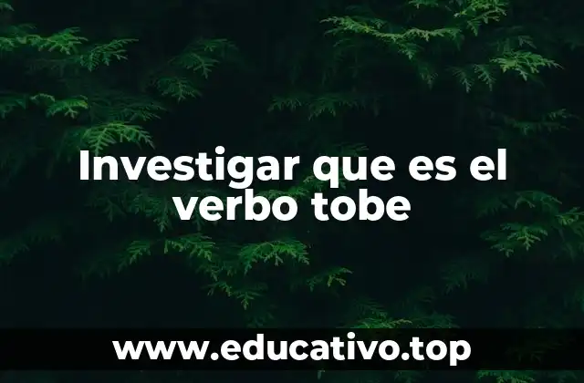 Investigar que es el verbo tobe