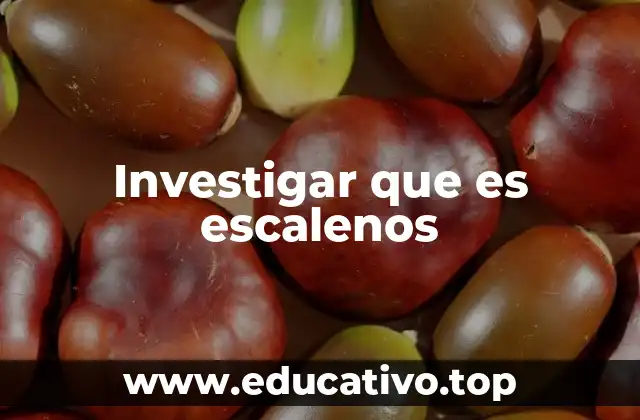 Los músculos del cuello y su relación con el término escalenos