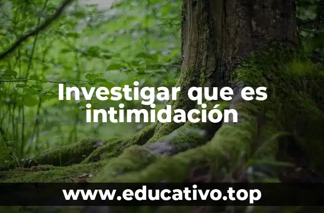 Investigar que es intimidación