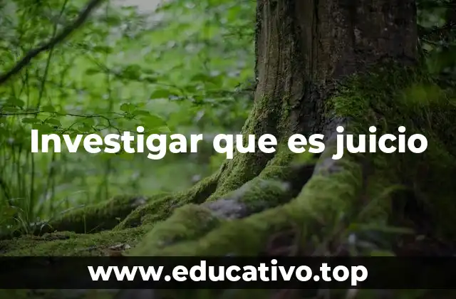 Investigar que es juicio