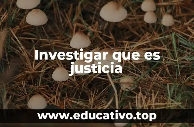 Investigar que es justicia