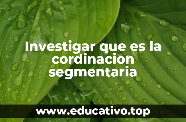Investigar que es la cordinacion segmentaria