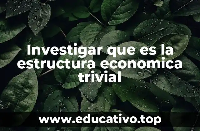 Investigar que es la estructura economica trivial