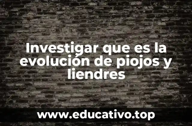 Investigar que es la evolución de piojos y liendres