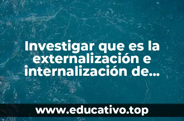 Investigar que es la externalización e internalización de costos