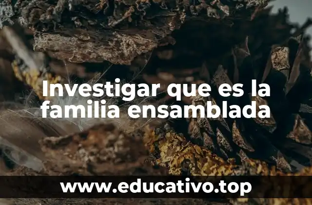 Investigar que es la familia ensamblada