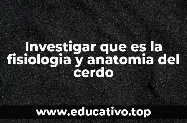 Investigar que es la fisiologia y anatomia del cerdo